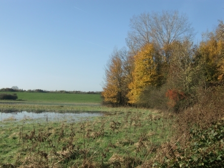 Duisburg-Walsum : Rheinaue Walsum